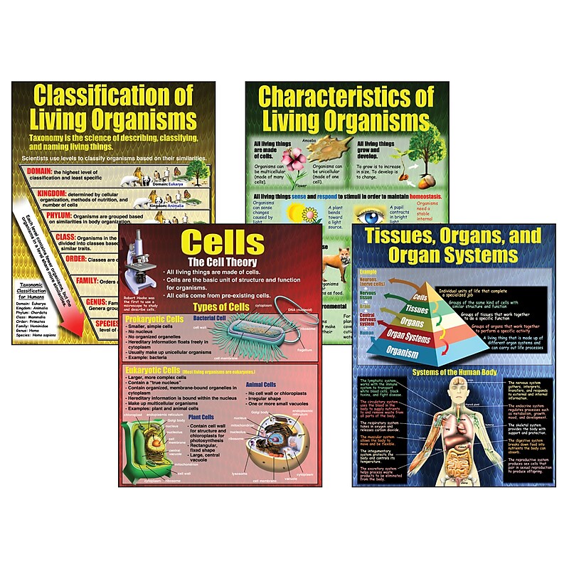 Teacher Created Resources Living Organisms Teaching Poster Set (MC-P154) image 1