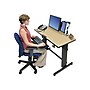 Ergotron WorkFit-D 48"W Adjustable Standing Desk, Birch (24-271-928)~#|#~sp50518649_sc7