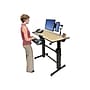 Ergotron WorkFit-D 48"W Adjustable Standing Desk, Birch (24-271-928)~#|#~sp50518650_sc7