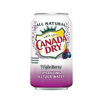 Canada Dry Triple Berry Sparkling Seltzer Water, 12 oz., 24/Carton (10060312)