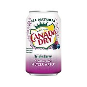 Canada Dry Triple Berry Sparkling Seltzer Water, 12 oz., 24/Carton (10060312)