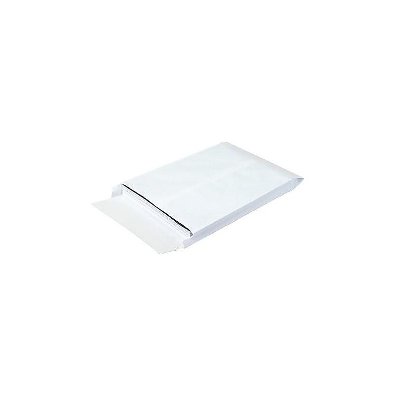 Ship-Lite Self Seal Catalog Envelopes, 10" x 13", White, 100/Carton (SLE10131WE) image 1
