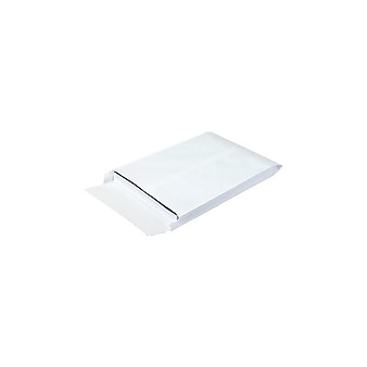 Ship-Lite Self Seal Catalog Envelopes, 10" x 13", White, 100/Carton (SLE10131WE)