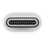 Apple USB-C to USB-A Adapter, Male to Female, White (MJ1M2AM/A)~#|#~sp50985782_sc7