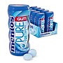 Mentos Pure Fresh Sugar Free Mint Gum, 10/Box (VAM1463620)~#|#~sp51760173_sc7