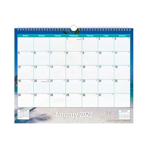 2020 Blue Sky 15" x 12" Wall Calendar, Endless Summer (117900) at Staples