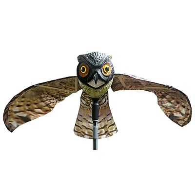 Pest Control