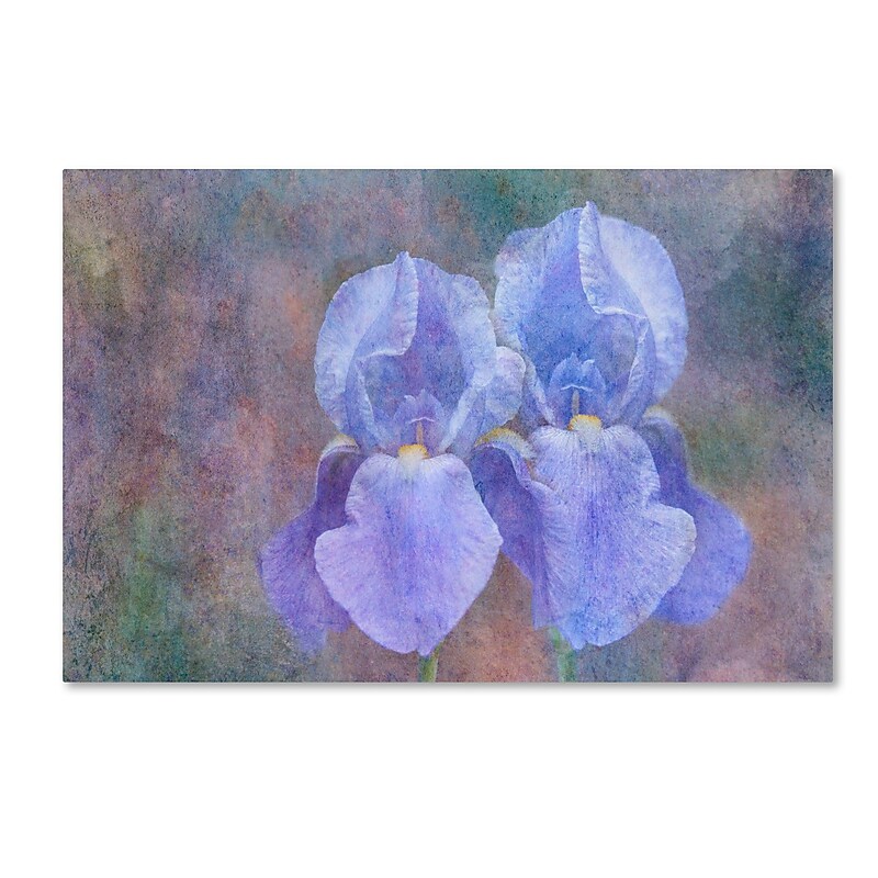 Trademark Fine Art Cora Niele 'Iris Blue Rhythm' 16" x 24" Canvas Stretched Art Print (190836252619) image 1