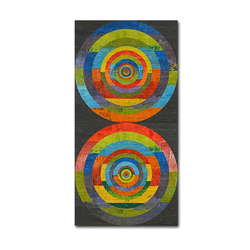 Trademark Fine Art Michelle Calkins 'Full Circle 3.0'  10" x 19" Canvas Stretched (886511966628) image 1