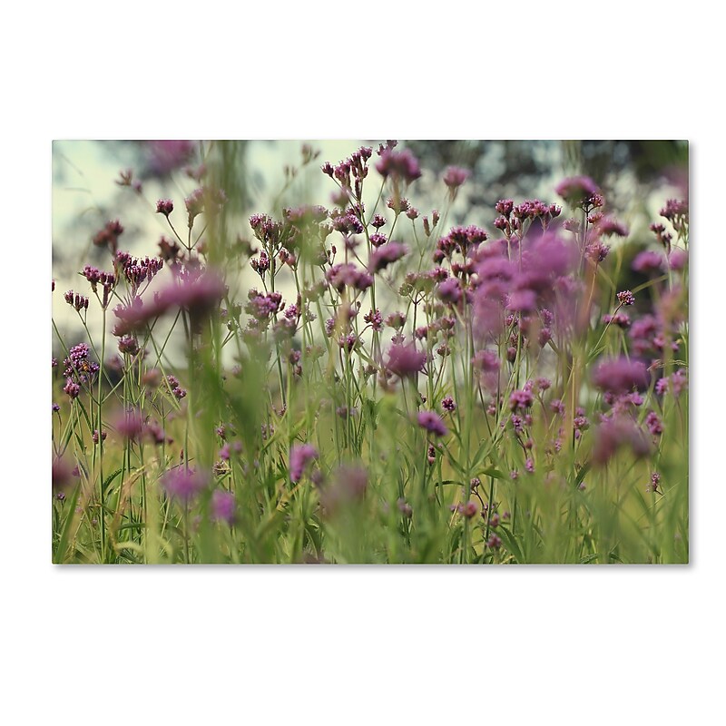 Trademark Fine Art Beata Czyzowska Young 'Field of Purple' 12" x 19" Canvas Stretched Art Print (190836183500) image 1