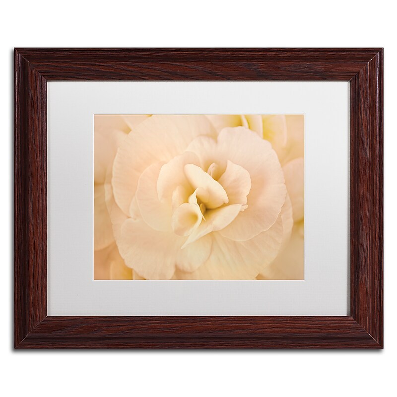 Trademark Fine Art Cora Niele 'Amber Begonia Flower' 11" x 14" Matted Framed (190836256204) image 1