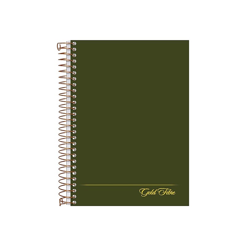 Ampad Gold Fibre 1-Subject Notebook, 5" x 7", College Ruled, 100 Sheets, Green (20-801R) image 1