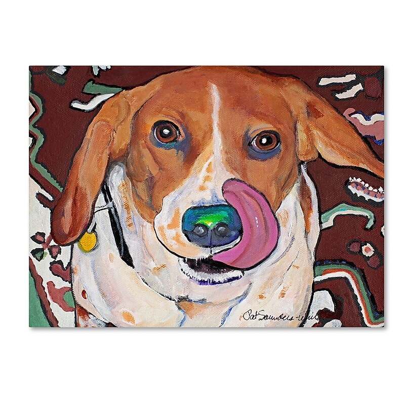 Trademark Fine Art Pat Saunders-White 'Bart' 14" x 19" Canvas Stretched (190836056354) image 1