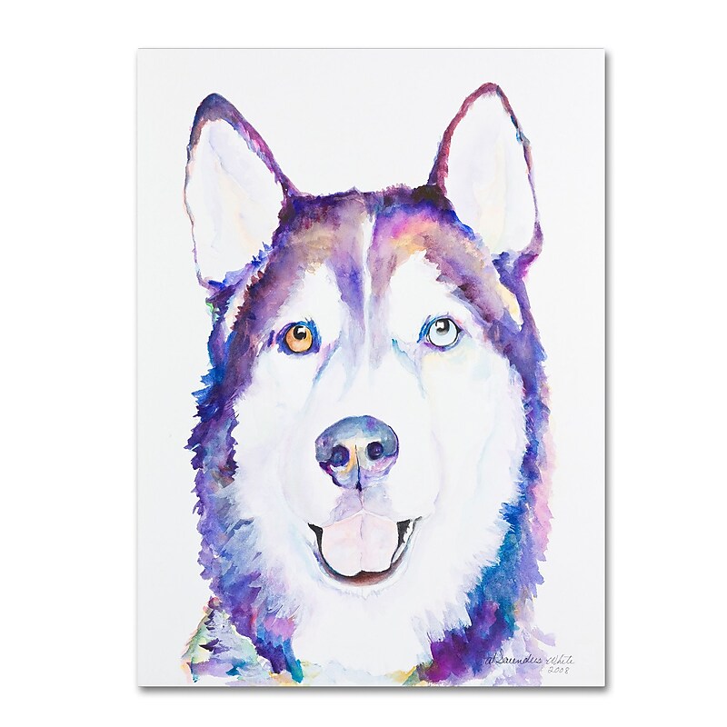Trademark Fine Art Pat Saunders-White 'Simba' 14" x 19" Canvas Stretched (190836061952) image 1