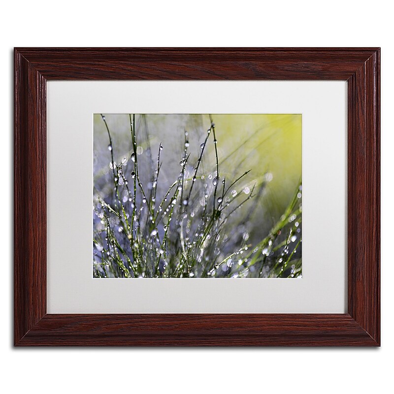 Trademark Fine Art Beata Czyzowska Young 'Spring Morning' 11" x 14" Matted Framed (190836185986) image 1