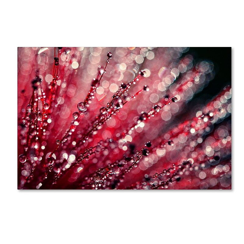 Trademark Fine Art Beata Czyzowska Young 'Sonata in Red' 12" x 19" Canvas Stretched (190836185740) image 1