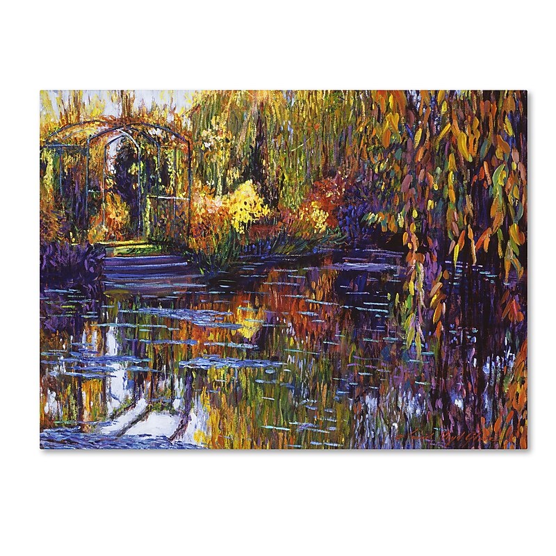 Trademark Fine Art David Lloyd Glover 'Tapestry Reflection' 14" x 19" Canvas Stretched (190836226689) image 1