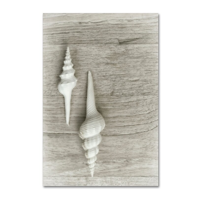 Trademark Fine Art Cora Niele 'Two White Shells' 12" x 19" Canvas Stretched (190836259106) image 1