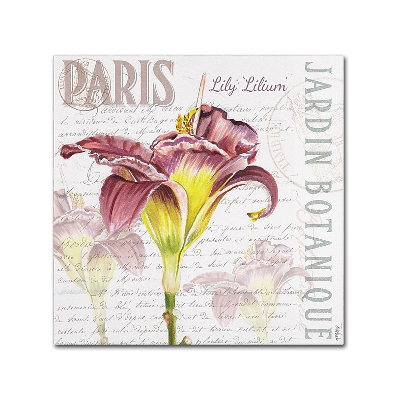 Trademark Fine Art Jennifer Redstreake 'Paris Botanique Lily Burgundy' 14" x 14" Canvas Stretched (886511944053) image 1