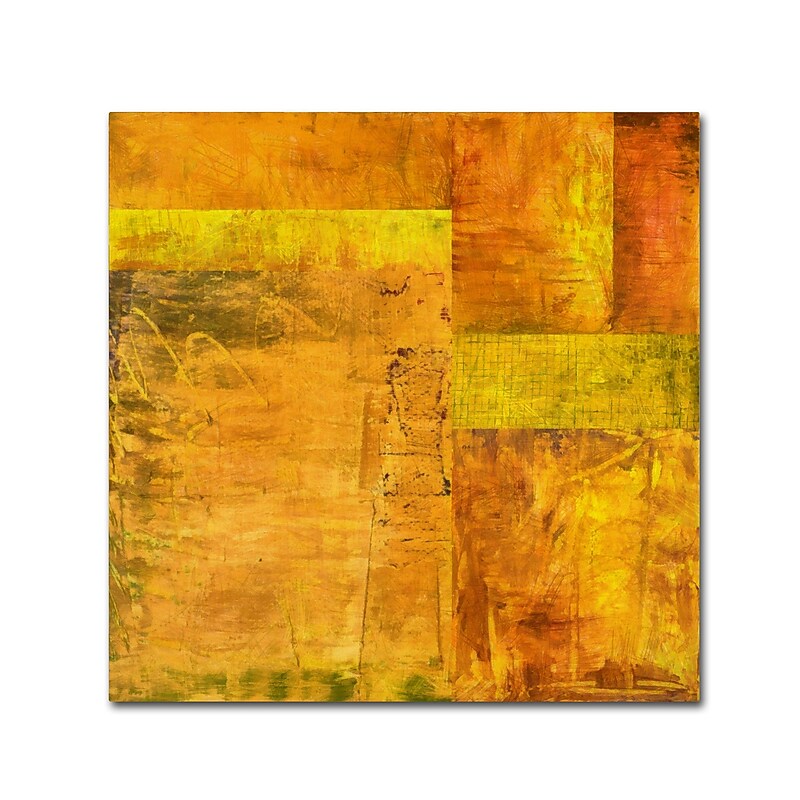 Trademark Fine Art Michelle Calkins 'Essence of Yellow 2' 14" x 14" Canvas Stretched (190836072149) image 1