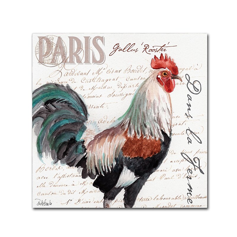 Trademark Fine Art Jennifer Redstreake 'Dans la Ferme Rooster III' 14" x 14" Canvas Stretched (886511943476) image 1
