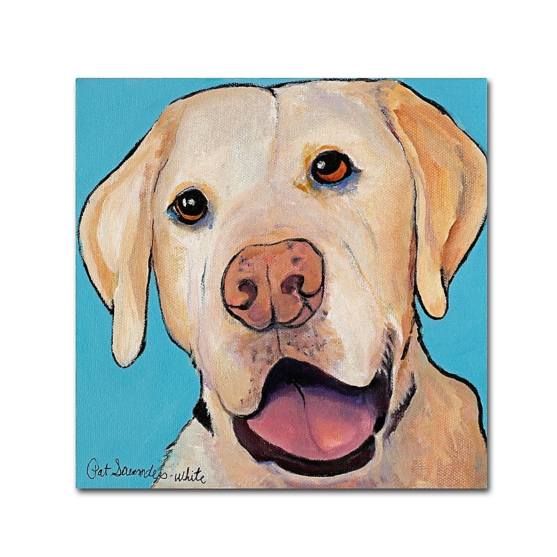 Trademark Fine Art Pat Saunders-White 'Lucky Dog 14" x 14" Canvas Stretched (190836060672) image 1