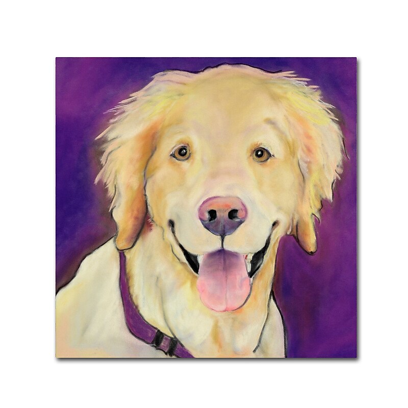 Trademark Fine Art Pat Saunders-White 'Alex' 14" x 14" Canvas Stretched (190836055876) image 1