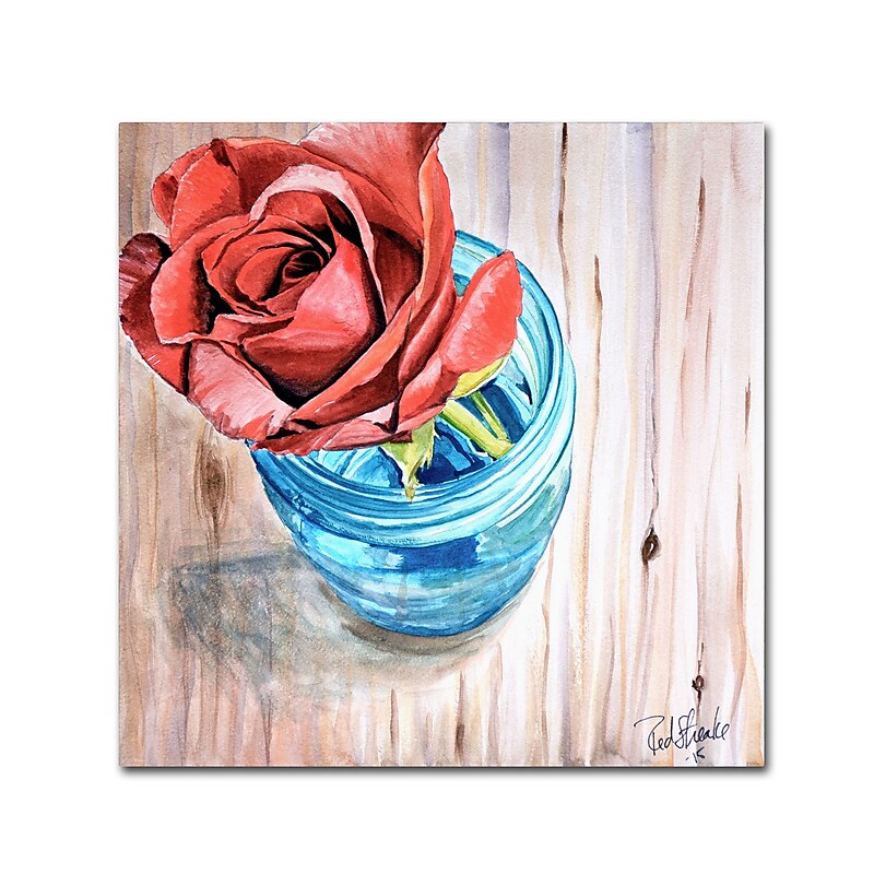 Trademark Fine Art Jennifer Redstreake 'Rose in Jar' 14" x 14" Canvas Stretched (886511945012) image 1