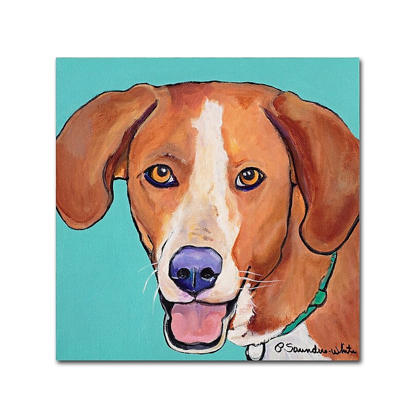 Trademark Fine Art Pat Saunders-White 'Sophie' 14" x 14" Canvas Stretched (190836062119) image 1