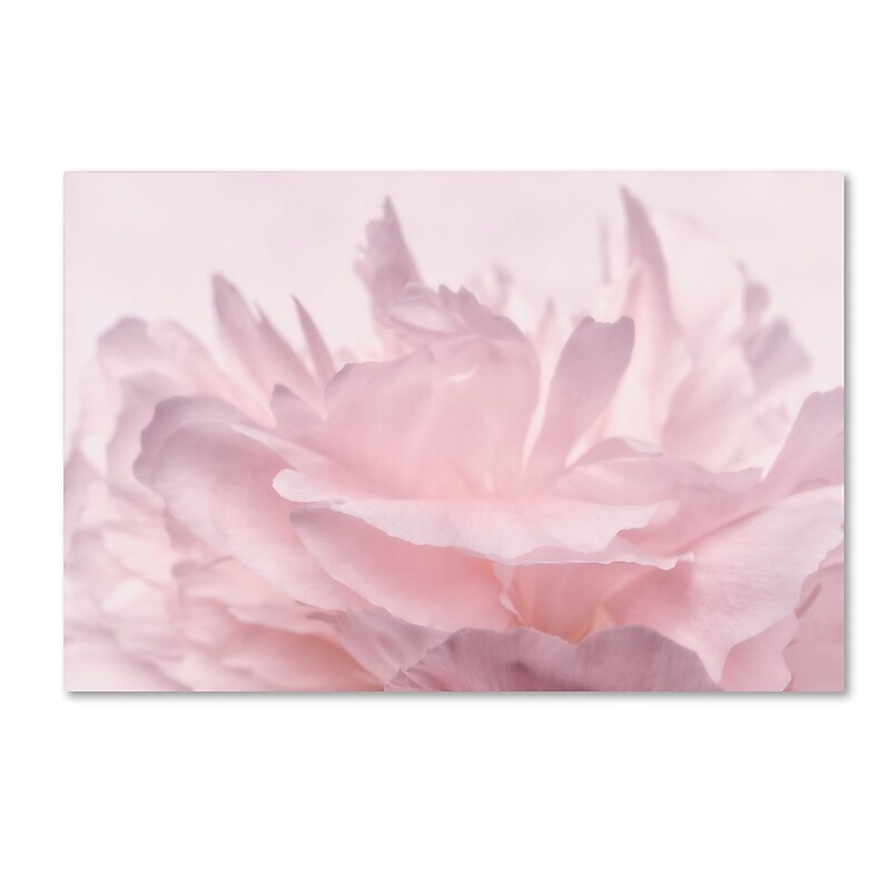 Trademark Fine Art Cora Niele 'Pink Peony Petals III' 12" x 19" Canvas Stretched (190836307562) image 1
