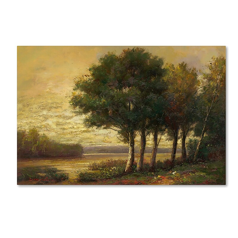 Trademark Fine Art Daniel Moises 'Tranquility' 12" x 19" Canvas Stretched (190836189304) image 1