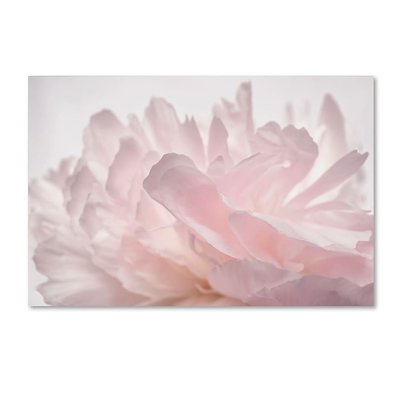 Trademark Fine Art Cora Niele 'Pink Peony Petals V' 12" x 19" Canvas Stretched (190836307845) image 1
