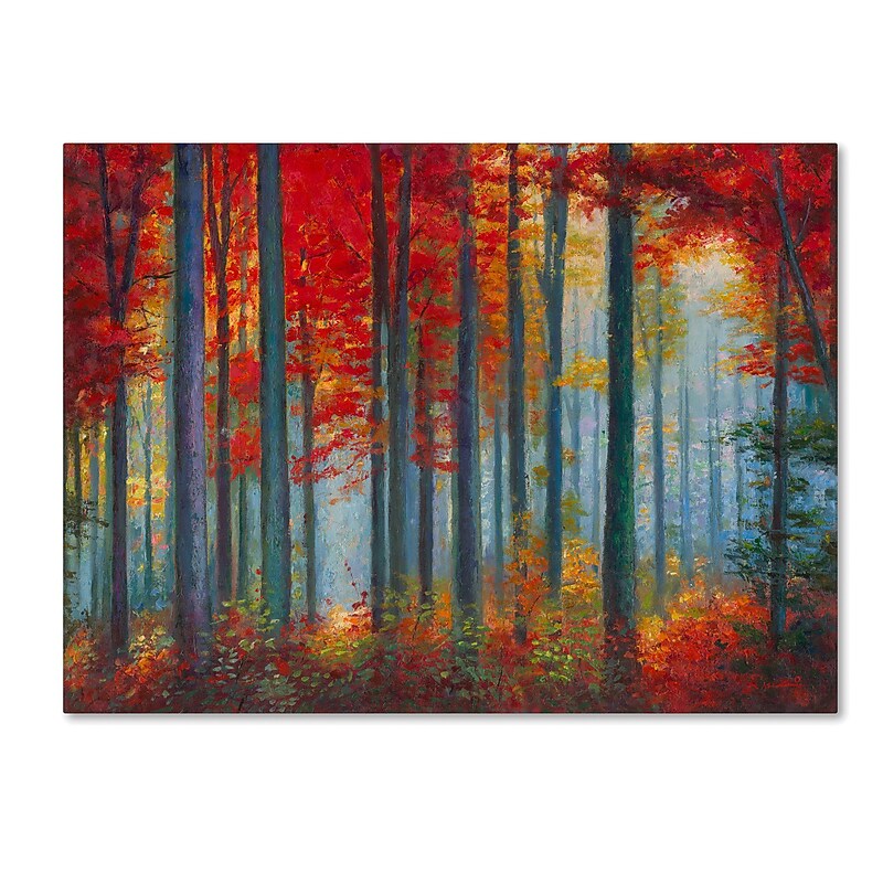 Trademark Fine Art Daniel Moises 'Red Foreset' 14" x 19" Canvas Stretched (190836278060) image 1