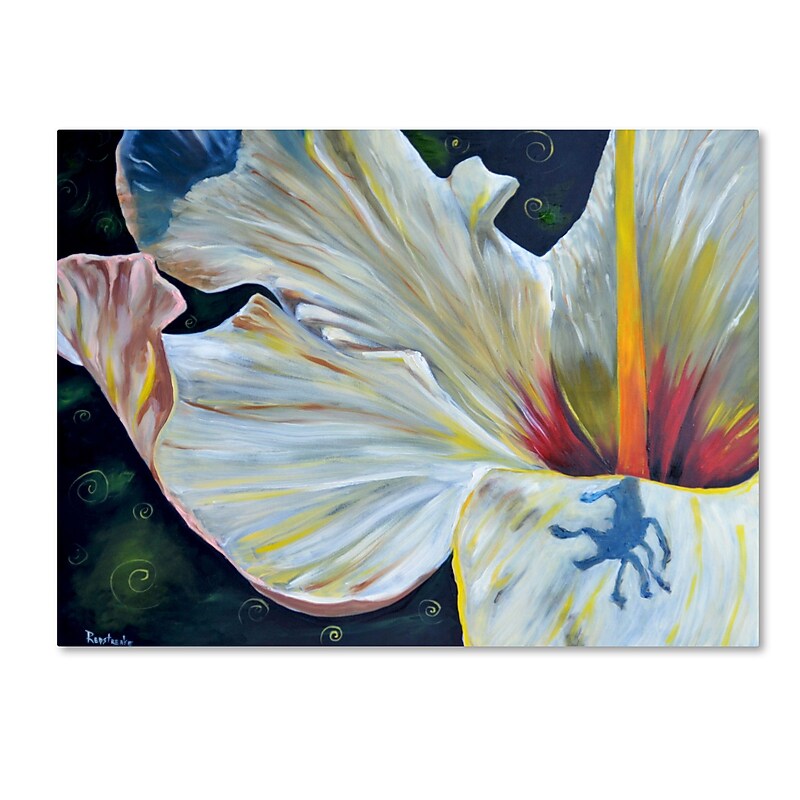 Trademark Fine Art Jennifer Redstreake 'Hibiscus' 14" x 19" Canvas Stretched (886511943759) image 1
