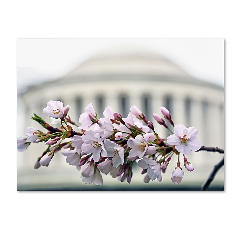 Trademark Fine Art CATeyes 'Jefferson Memorial Blossoms' 14" x 19" Canvas Stretched (190836098644) image 1