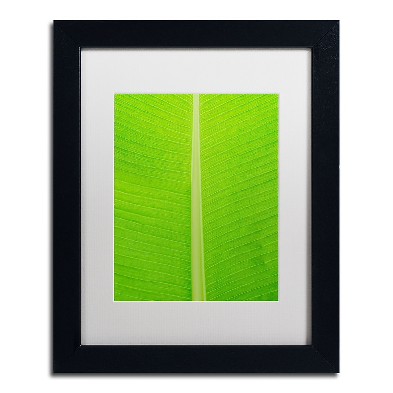 Trademark Fine Art Cora Niele 'Leaf Texture I' 11" x 14" Matted Framed (190836314126) image 1