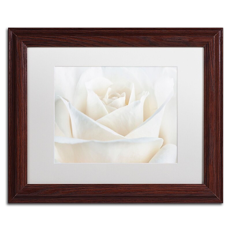Trademark Fine Art Cora Niele 'Pure White Rose' 11" x 14" Matted Framed (190836308781) image 1