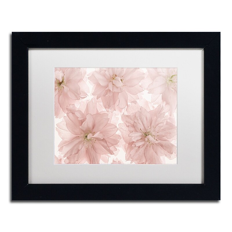 Trademark Fine Art Cora Niele 'Prunus Blossom' 11" x 14" Matted Framed (190836308521) image 1