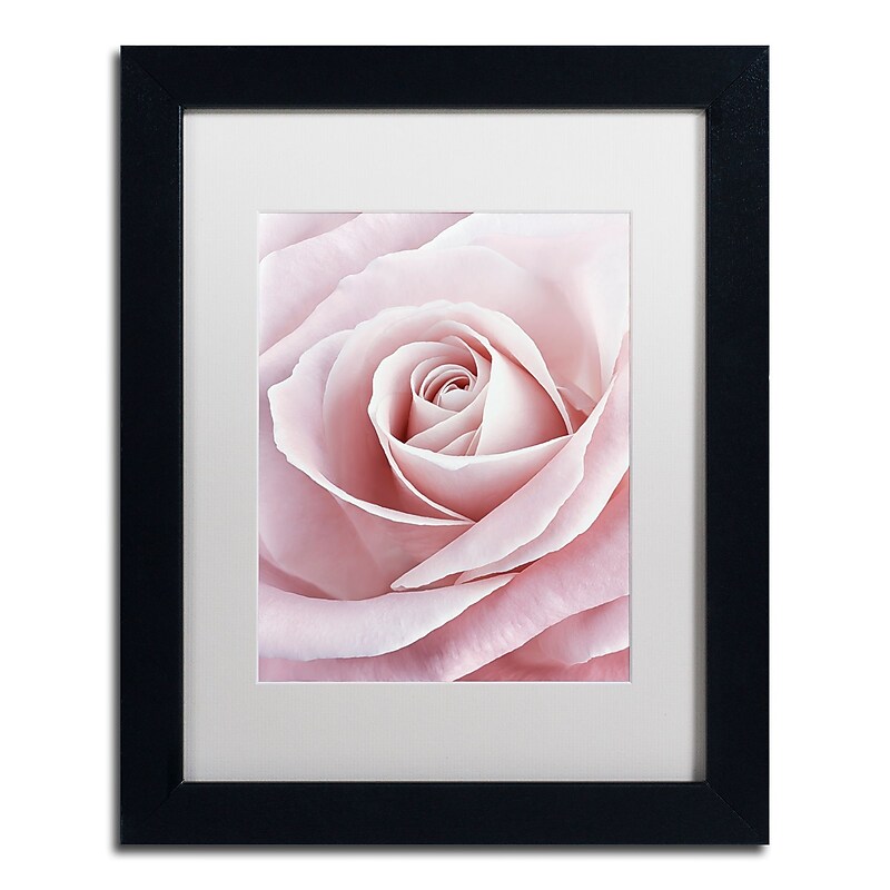 Trademark Fine Art Cora Niele 'Pink Rose' 11" x 14" Matted Framed (190836308385) image 1