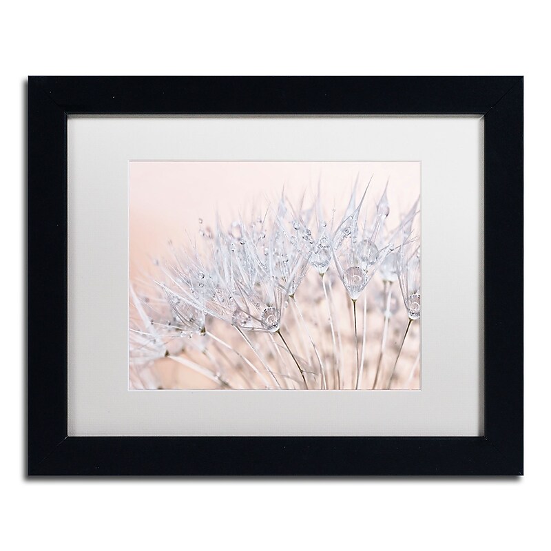 Trademark Fine Art Cora Niele 'Dandelion Dew II' 11" x 14" Matted Framed (190836251469) image 1