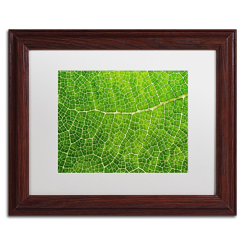 Trademark Fine Art Cora Niele 'Green Leaf Texture' 11" x 14" Matted Framed (190836314102) image 1