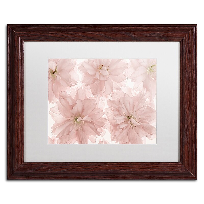 Trademark Fine Art Cora Niele 'Prunus Blossom' 11" x 14" Matted Framed (190836308644) image 1