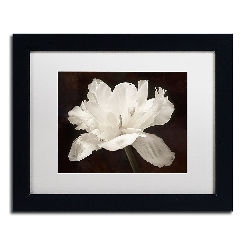 Trademark Fine Art Cora Niele 'White Tulip I' 11" x 14" Matted Framed (190836311606) image 1