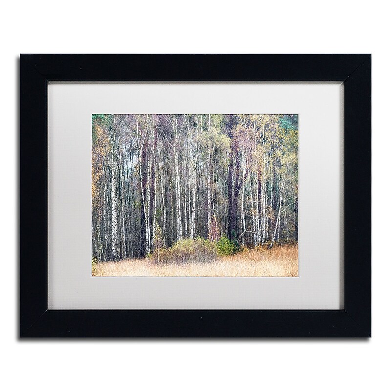 Trademark Fine Art Cora Niele 'Birches' 11" x 14" Matted Framed (190836316229) image 1