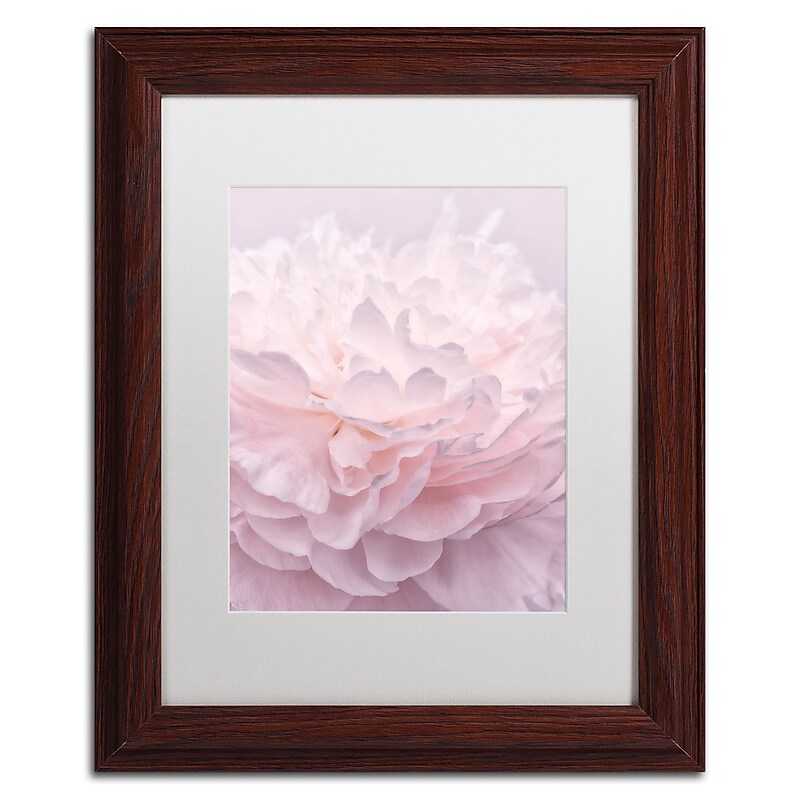 Trademark Fine Art Cora Niele 'Pink Peony Petals I' 11" x 14" Matted Framed (190836307388) image 1