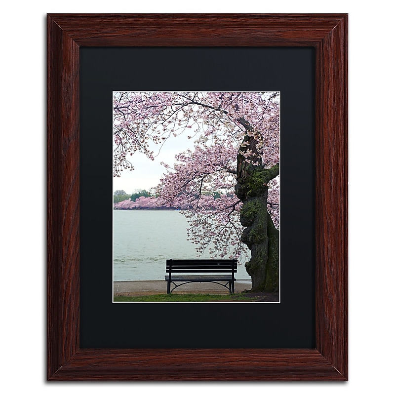Trademark Fine Art CATeyes 'Tranquility' 11" x 14" Matted Framed (190836099665) image 1