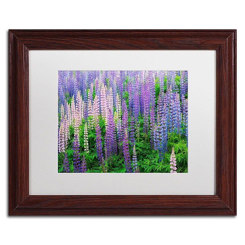 Trademark Fine Art Cora Niele 'Blue Pink Lupine Flower Field' 11" x 14" Matted Framed (190836247349) image 1