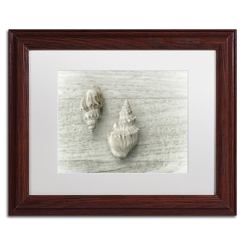 Trademark Fine Art Cora Niele 'Two Cancellaria Shells' 11" x 14" Matted Framed (190836258925) image 1