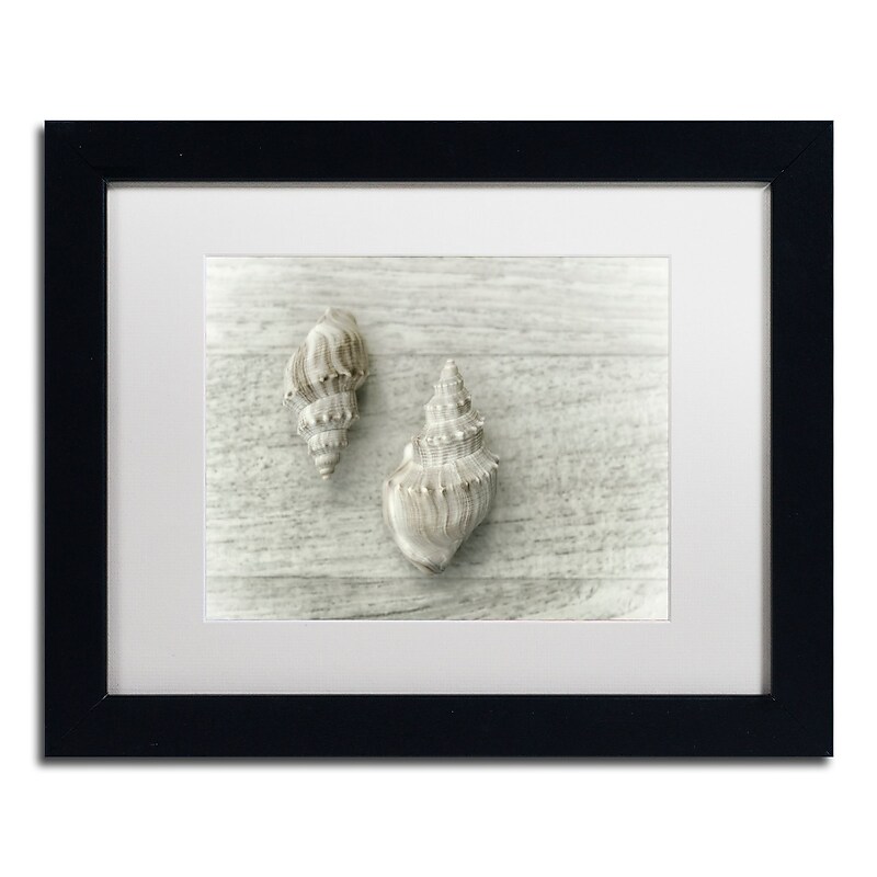 Trademark Fine Art Cora Niele 'Two Cancellaria Shells' 11" x 14" Matted Framed (190836258802) image 1