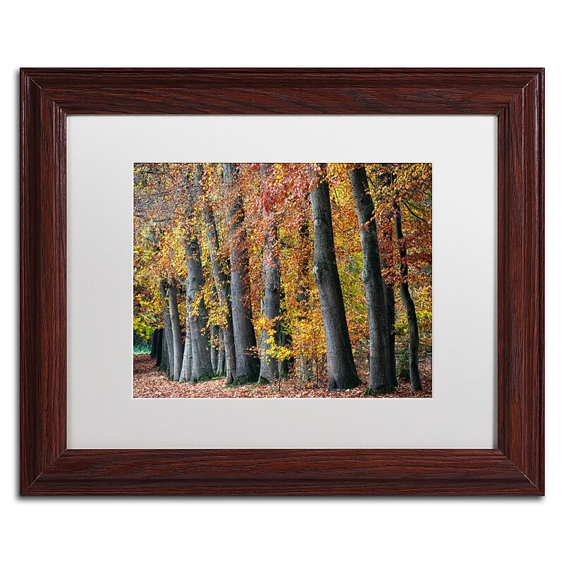 Trademark Fine Art Cora Niele 'Autumn Beeches I' 11" x 14" Matted Framed (190836315505) image 1